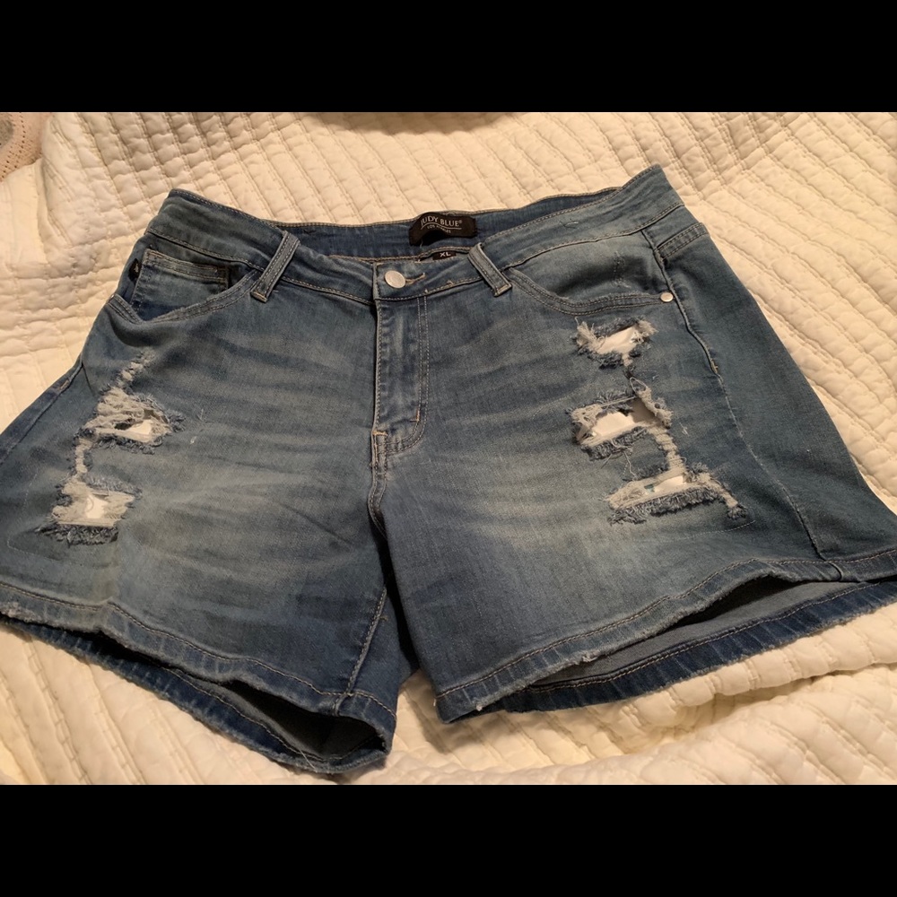 Judy Blues cactus 🌵 patch distressed shorts